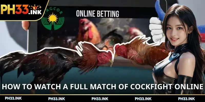 cockfight-online-ph-how-to-watch