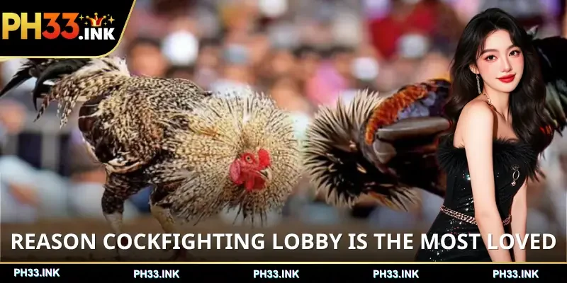 cockfight-online-ph-reason