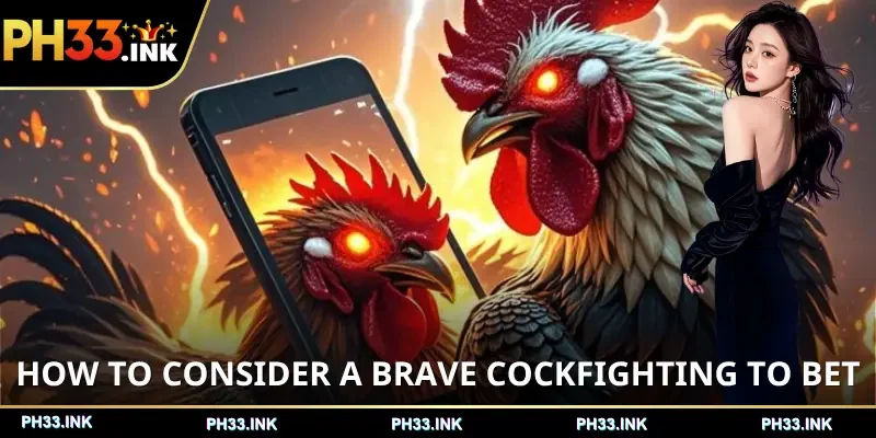 sabong-betting-how-to-consider